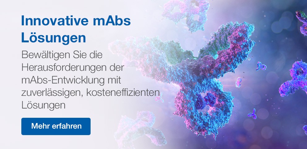 Innovative mAbs Solutions